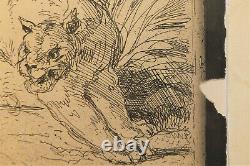 Cliché-verre Tigre à larrêt 1854 par Delacroix, tirage 1921