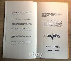 James Hd Brown & Michel Bulteau / Artists Book Lithographs Signed